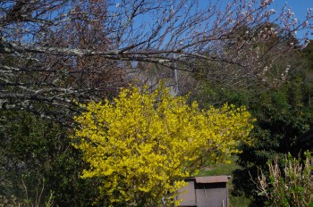  �������V�_�~�� �����M���E