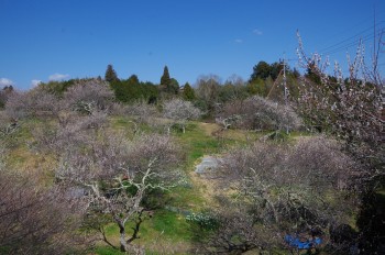 �������V�_�~�� �~