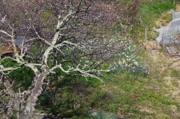 �������V�_�~�� �~����