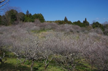 �������V�_�~�� �~