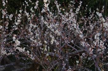 �������V�_�~�� �~