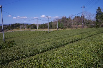 �������V�_�~�� ����