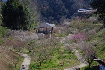 ������ �~�ь���