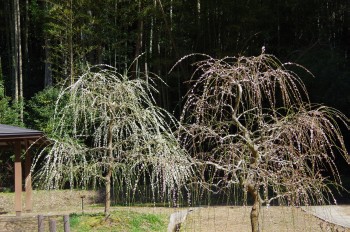 �������~�ь��� ������~