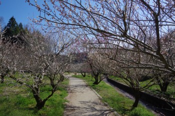 �������~�ь��� �~