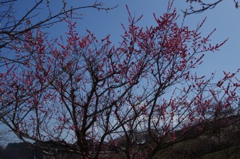 �������~�ь��� �~