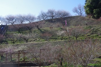 �������~�ь���