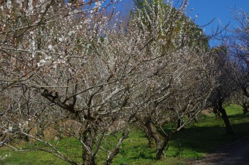 �������~�ь��� ���~