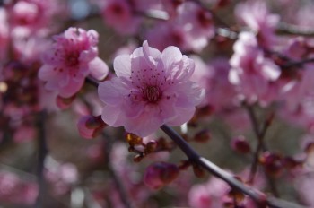 �������~�ь��� �~