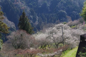 �������Ă��؂� �~��