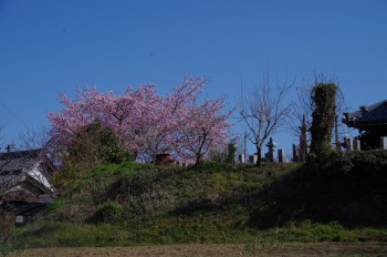 �������Ă��؂� ��