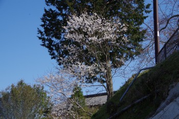 �������Ă��؂� ���~