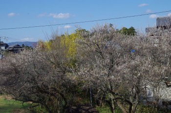 �������Ă��؂� �~