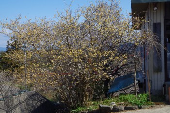 �������~�k����