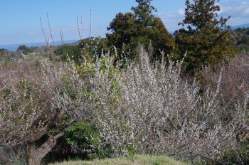 �������~�k����