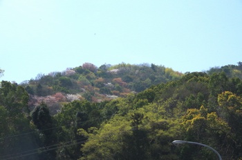 �I�̐�s���R�� �R