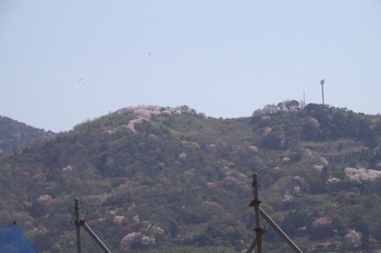 �I�̐�s���R�� �R�̂�����