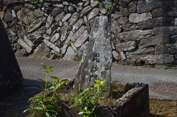 �I�̐�s���R�� ������V��