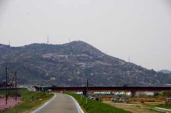 �I�̐�s���R�� ��h