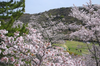 ��o�s�ΉԌ��� ��