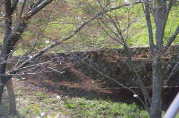 ��o�s�ΉԌ��� ������