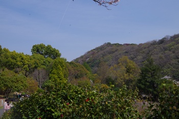 ��o�s�ΉԌ��� �i�F