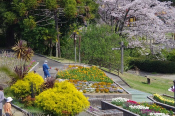 ��o�s�ΉԌ���