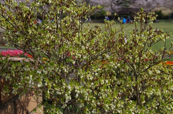 ��o�s�ΉԌ��� �h�E�_���c�c�W