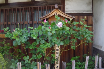 ���s�M�B�h �o��