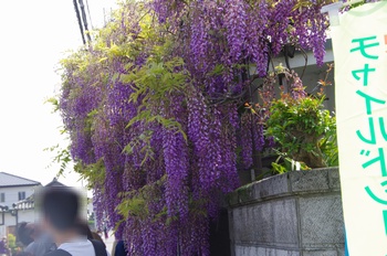 ���s�M�B�h ��