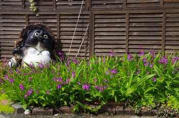 ���s�M�B�h �V����