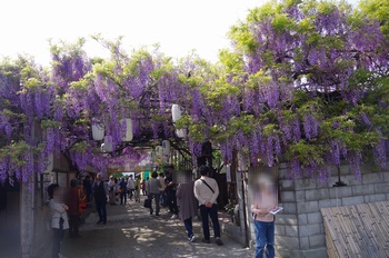 ���s�M�B�h ��