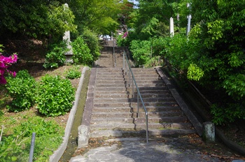 ���s���c������