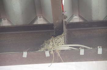 �ޗǌ� �c�o��