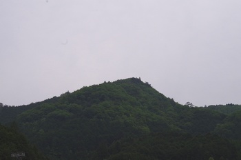 �ޗǎs�f�R �z��x