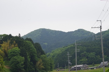 �ޗǎs�f�R �����R