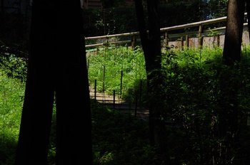 ����s��_�_�� ������艀