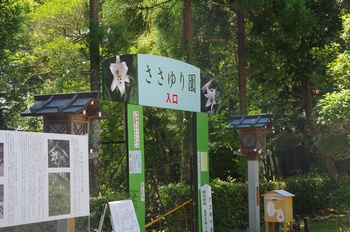  ����s��_�_�� ������艀