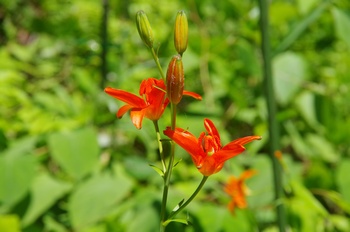  ����s��_�_�� �q������