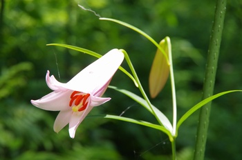  ����s��_�_�� �T�T����