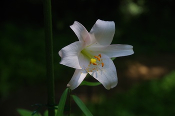  ����s��_�_�� �T�T����