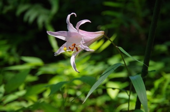  ����s��_�_�� �T�T����