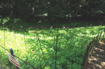  ����s��_�_�� ������艀