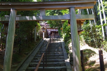  ����s �v���F�_�� ����