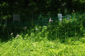  ����s �v���F�_�� �T�T����