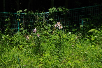  ����s �v���F�_�� �T�T����