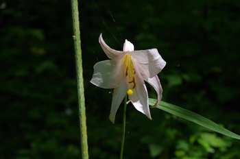  ����s �v���F�_�� �T�T����