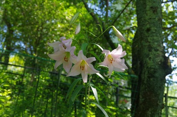 ����s��_�_�� �������