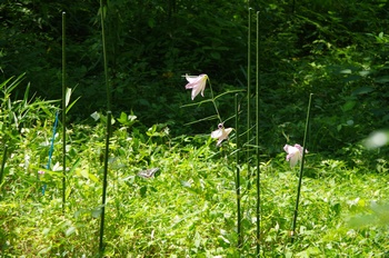 ����s��_�_�� �������