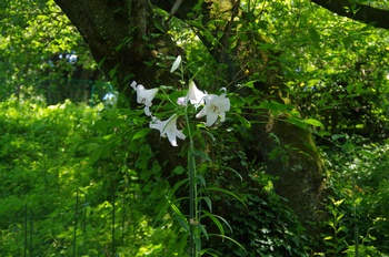 ����s��_�_�� �������